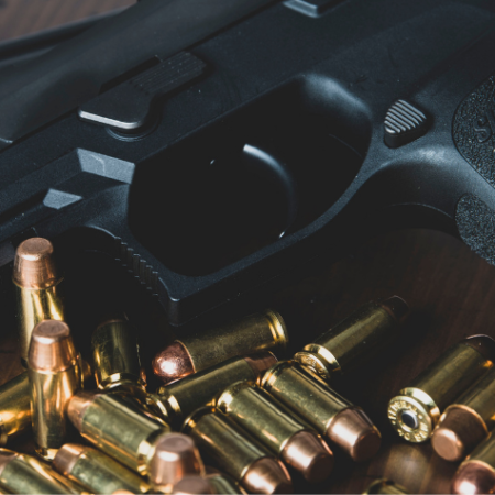 hand guns shop